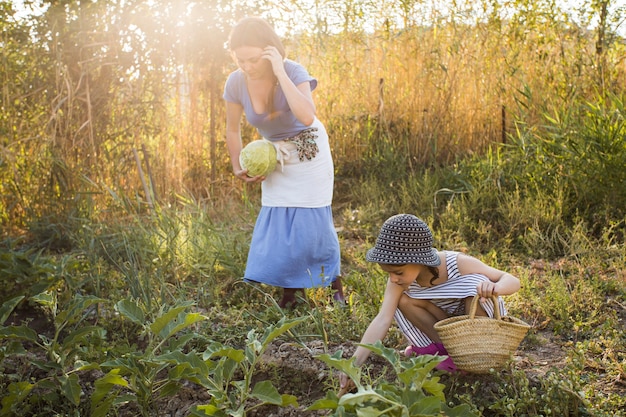 Fille et mère cueillant des légumes dans le champ