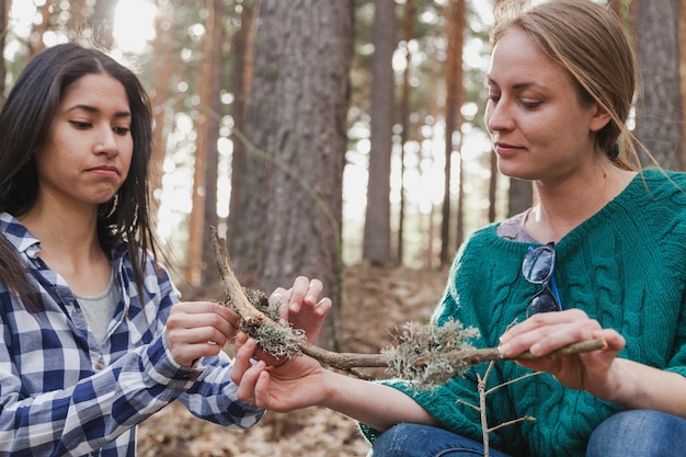 Photo gratuite fille prenant quelque chose d'une branche