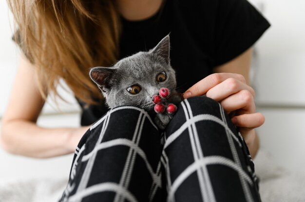 Fille En Pyjama Tient Son Animal De Compagnie Bien Aime Dans Ses Bras Chaton Ecossais Dans Les Bras De La Jeune Fille Photo Premium Fille En Pyjama Tient Son Animal De Compagnie Bien Aime Dans Ses Bras Chaton Ecossais Dans Les Bras De La Jeune Fille Photo Premium