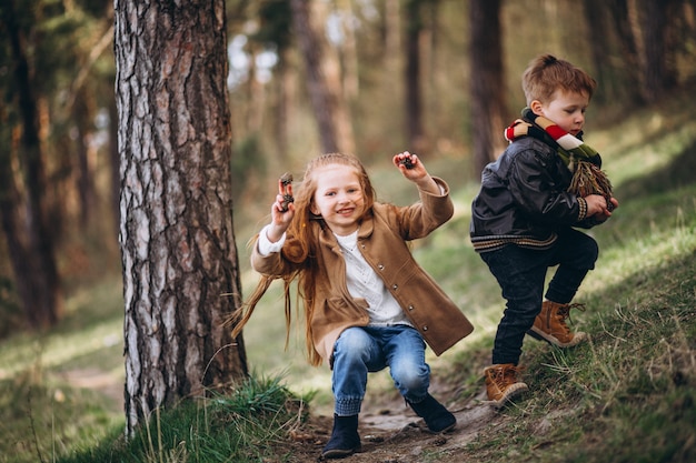 Fille avec son petit frère ensemble dans la forêt