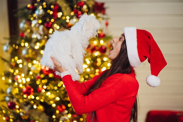 Une fille tient un petit chien sur ses mains au Nouvel An Nouvel An avec un ami