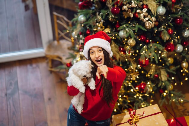 Une fille tient un petit chien sur ses mains au réveillon du Nouvel An avec un ami