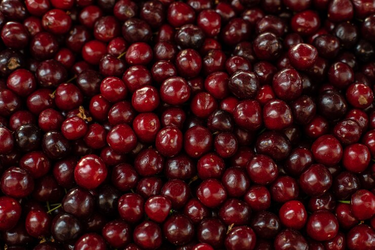 Photo gratuit fin, haut, bourgogne, cerises