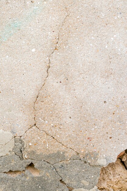 Fissure dans le mur de ciment