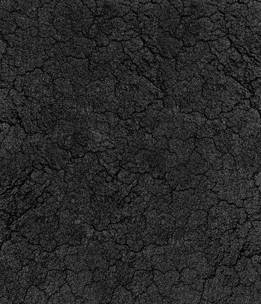 fissurée texture d&#39;asphalte