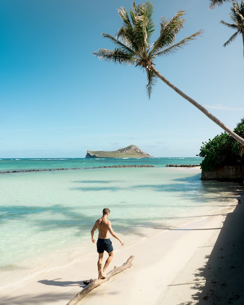 Fit Mâle Torse Nu à La Plage Vacillant Sur Une Planche De Bois Avec Un Ciel étonnant Et Des Palmiers