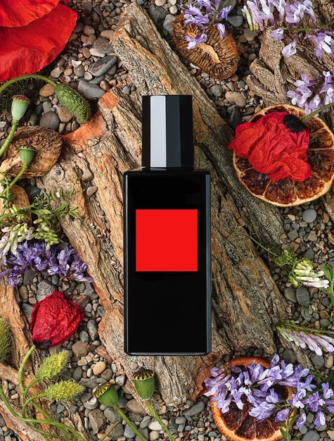 Flacon de parfum sur fond naturel d'écorce d'arbre, de fleurs et de pierres, vue de dessus. Beauté et mode, modèle de parfum