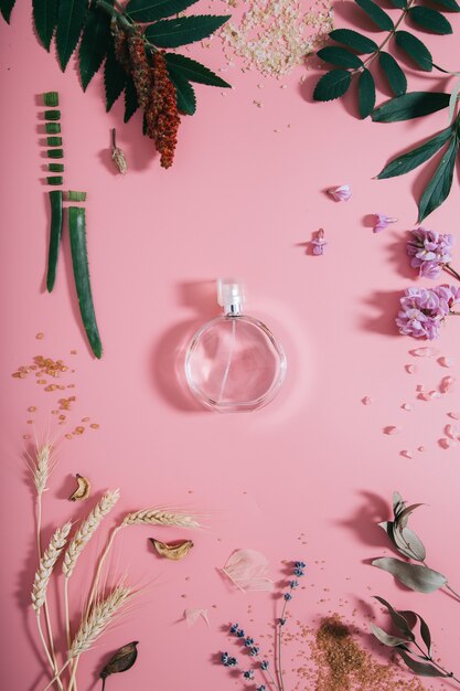 Flacon de parfum transparent en fleurs sur mur rose. Mur de printemps avec parfum d'arôme. Mise à plat