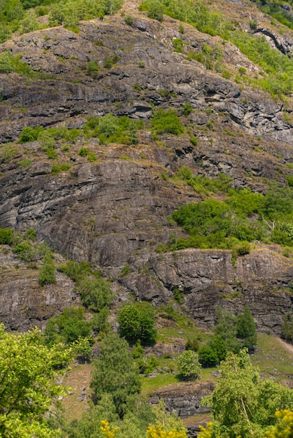 Flam Norvège juin 06 2023 Montagne