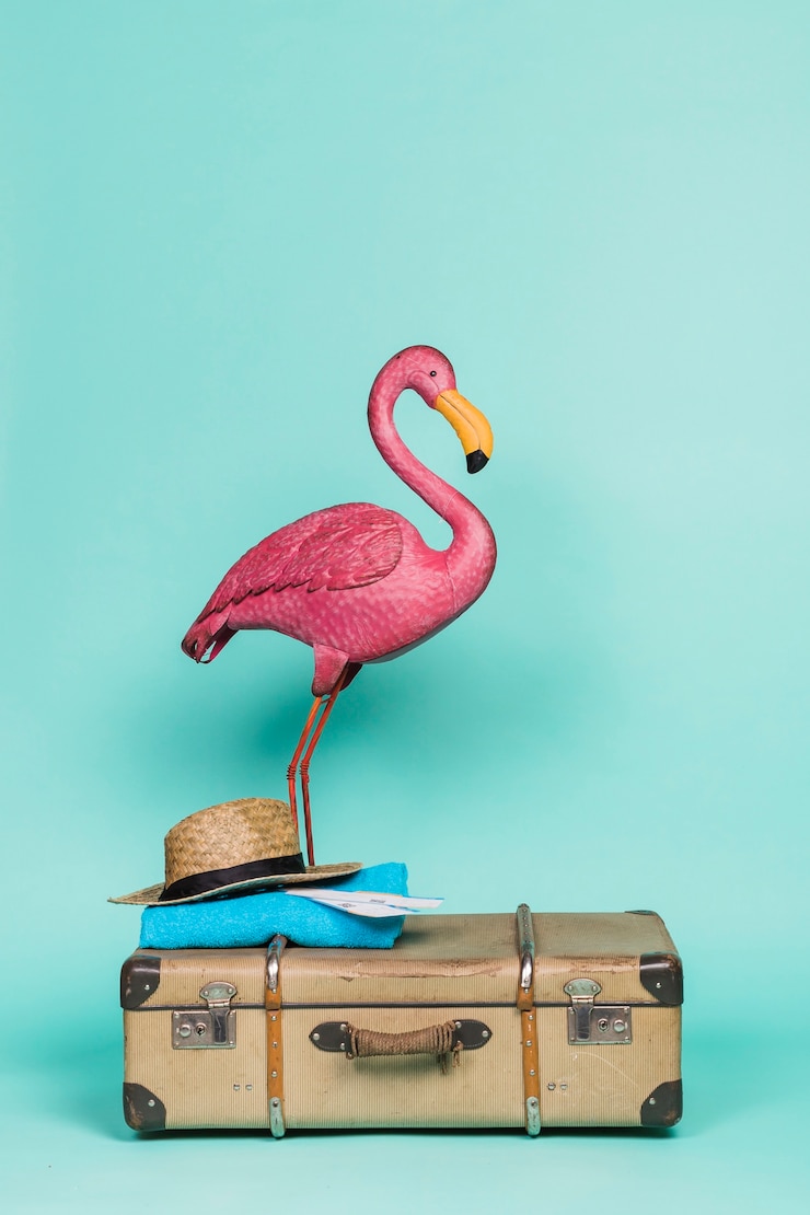 Photo gratuit le flamant rose sur les accessoires de voyage