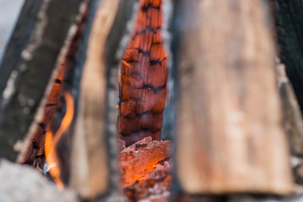 Flamme de feu de près