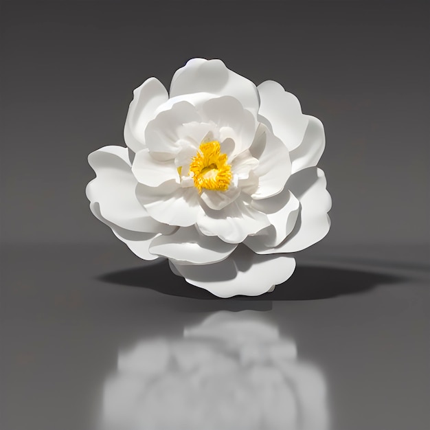 Photo gratuite une fleur blanche avec un centre jaune se reflète dans une surface réfléchissante.