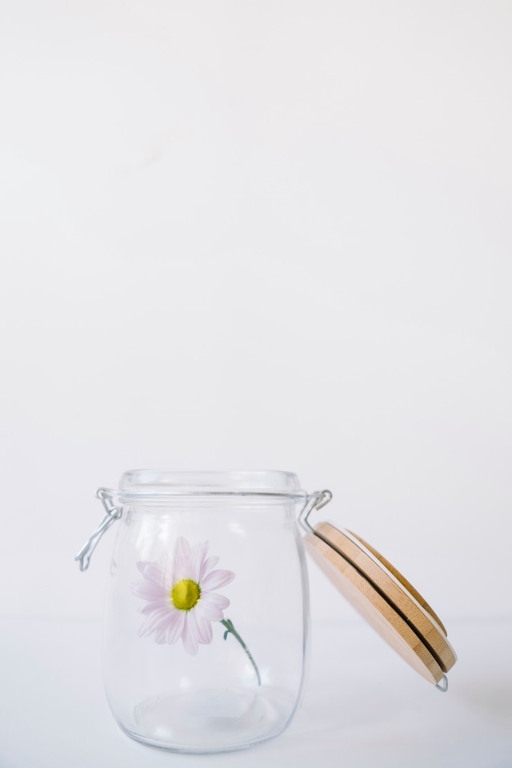 Photo gratuit fleur blanche en verre
