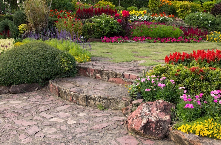 Photo gratuit fleur colorée dans le jardin