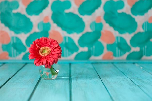 fleur de couleur sur la surface bleue