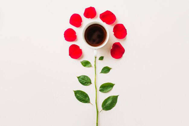 Fleur de coupe et pétales avec des feuilles