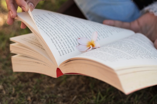 Photo gratuite fleur dans un livre ouvert