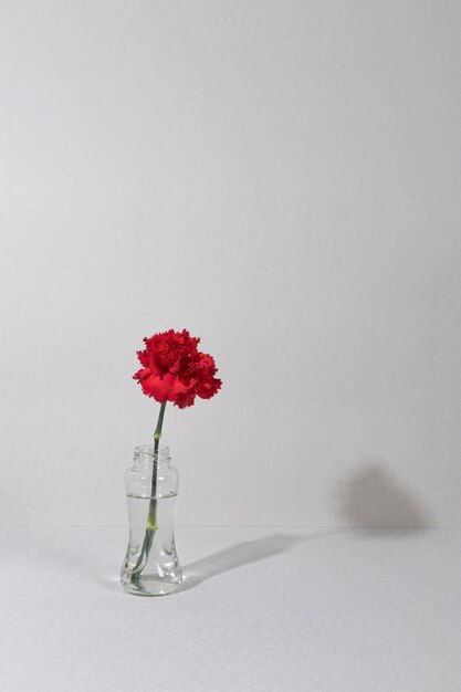 Fleur de fleur dans un vase sur la table