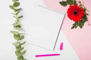 Photo gratuite fleur de gerbera; brindille; bloc-notes en spirale et stylo sur fond double