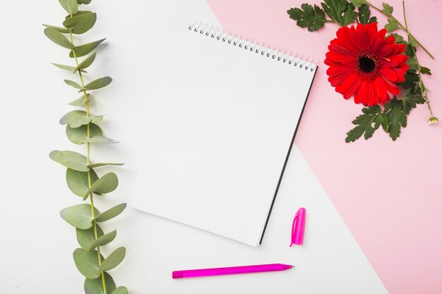 Fleur de gerbera; brindille; bloc-notes en spirale et stylo sur fond double