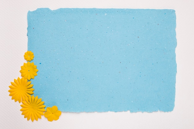 Fleur jaune au coin d'un papier déchiré bleu sur fond blanc