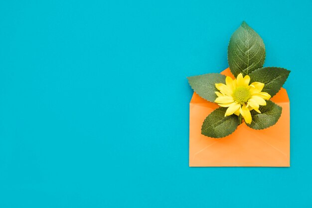 Fleur jaune et feuilles dans l&#39;enveloppe