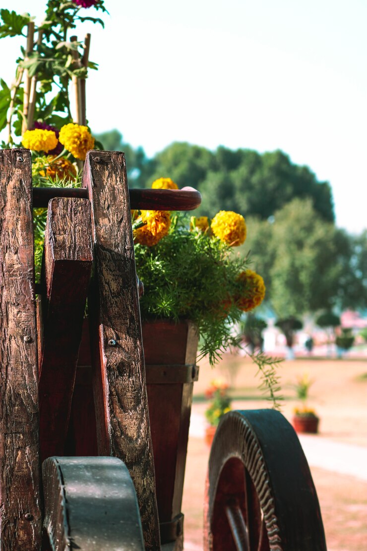 Photo gratuit fleur jaune
