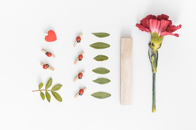 Photo gratuite fleur d'oeillets aux feuilles vertes sur table