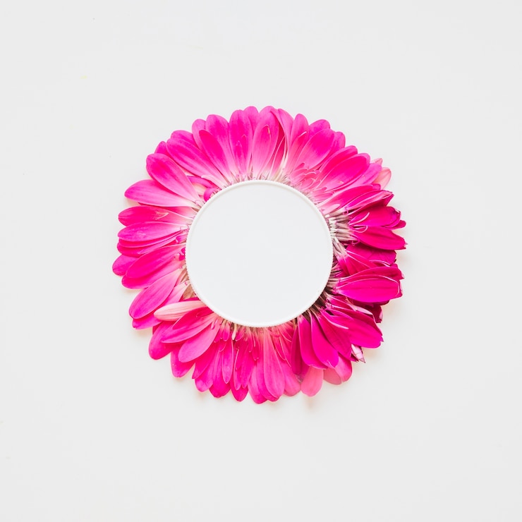 Photo gratuit fleur à partir de pétales et soucoupe en pot