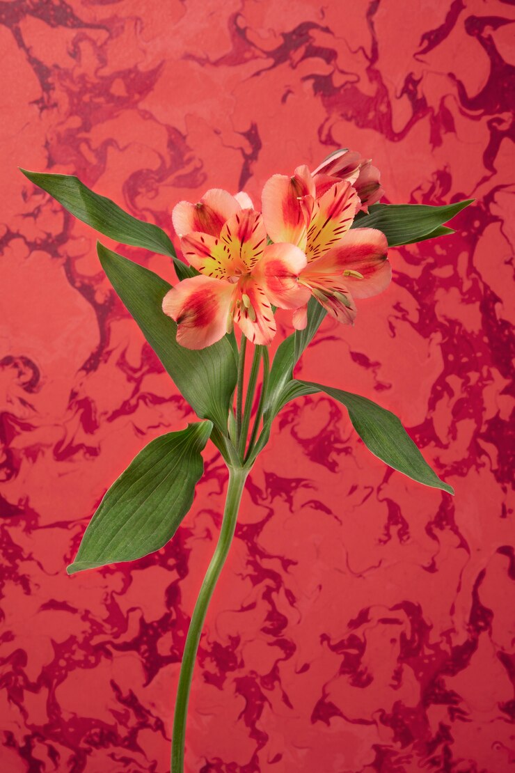 Photo gratuit fleur avec peinture psychédélique