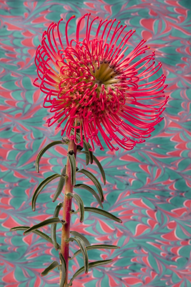 Photo gratuit fleur avec peinture psychédélique
