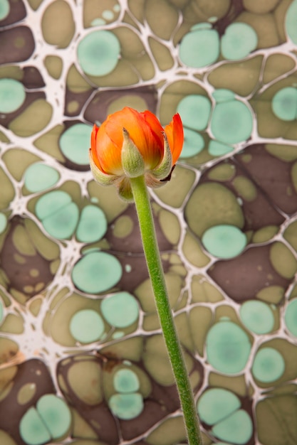 Photo gratuite fleur avec peinture psychédélique