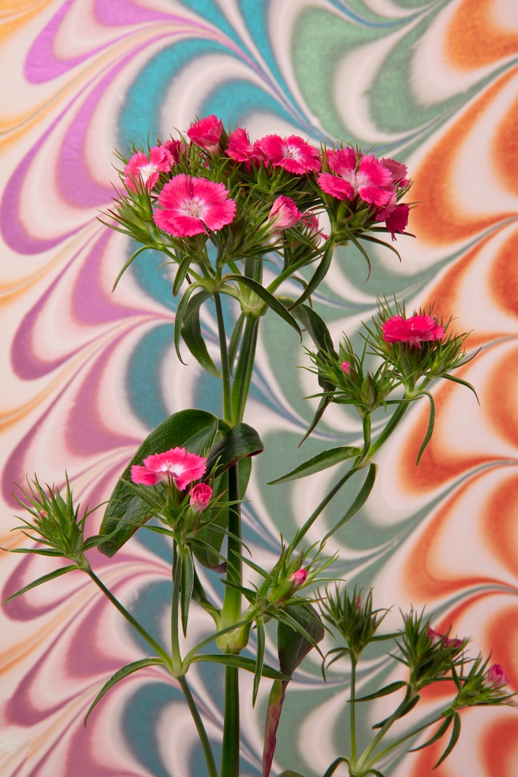 Photo gratuit fleur avec peinture psychédélique
