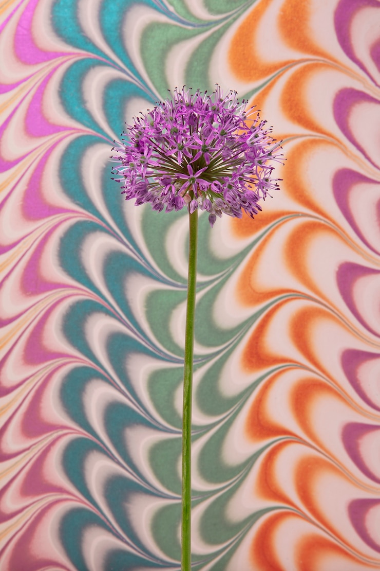 Photo gratuit fleur avec peinture psychédélique
