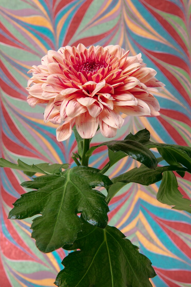 Photo gratuit fleur avec peinture psychédélique