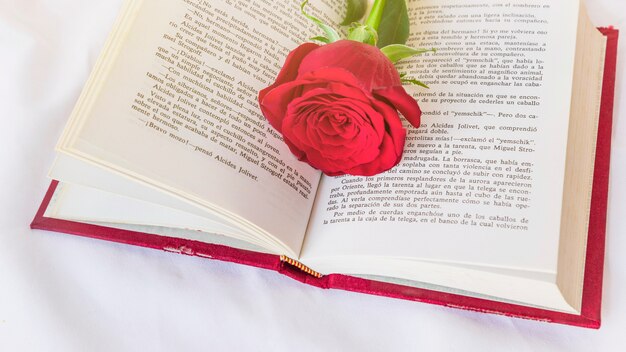 Fleur rose rouge sur le livre