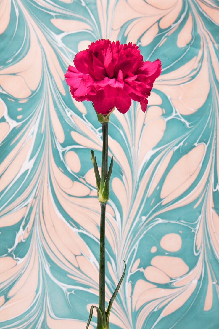 Photo gratuit fleur rouge avec peinture psychédélique