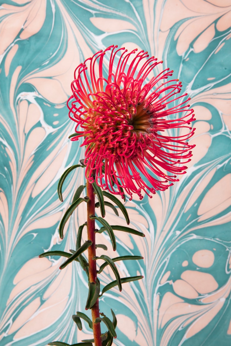 Photo gratuit fleur rouge avec peinture psychédélique