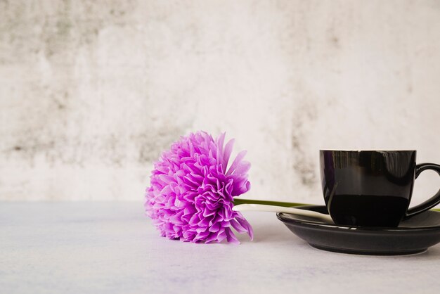 Fleur simple mauve sur la soucoupe avec une tasse contre le mur de grunge