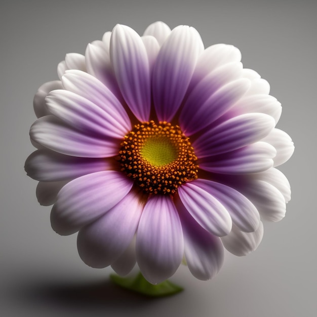 Photo gratuite une fleur violette et blanche est représentée avec une tige verte.