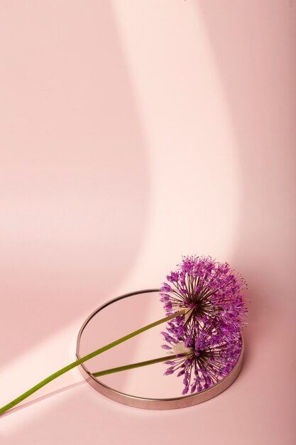 Fleur violette grand angle sur miroir