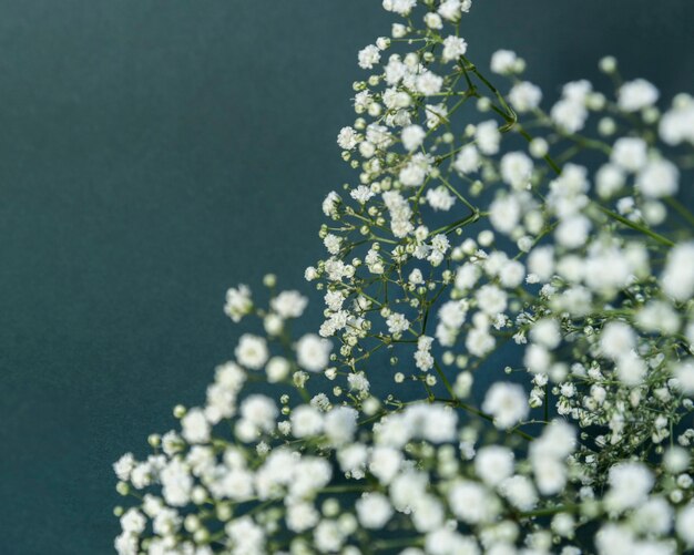 Fleur