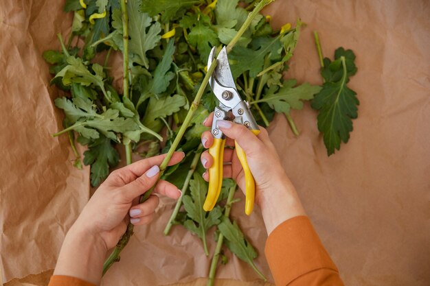 Fleuriste coupant des parties de fleurs