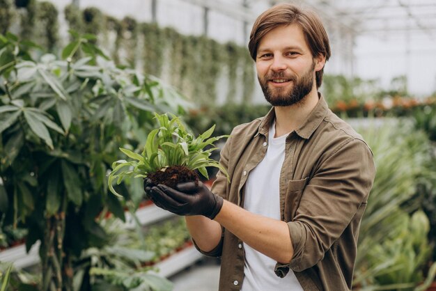 Fleuriste d'homme travaillant dans la maison verte