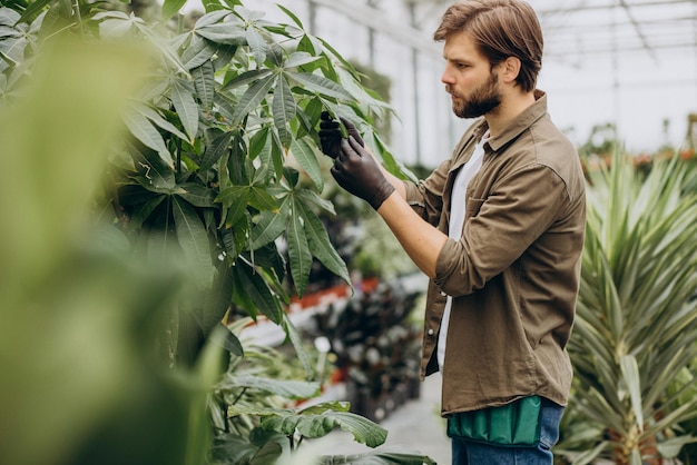 Fleuriste d'homme travaillant dans la maison verte