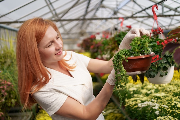 Fleuriste souriante dans sa pépinière inspectant les fleurs en pot alors qu'elle s'occupe des plantes du jardin dans la serre