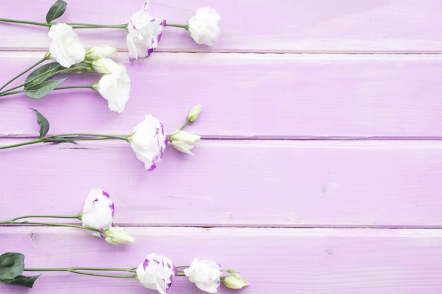 Fleurs blanches avec des bourgeons sur fond en bois peint rose