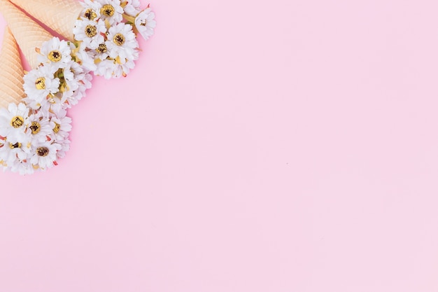 Photo gratuite fleurs blanches dans des cônes de gaufre