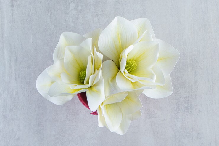 Photo gratuit fleurs blanches dans un seau rose, sur fond blanc. photo de haute qualité