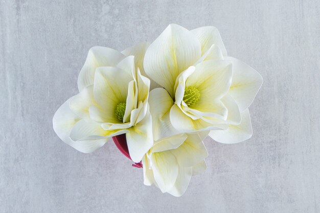 Fleurs blanches dans un seau rose, sur fond blanc. photo de haute qualité